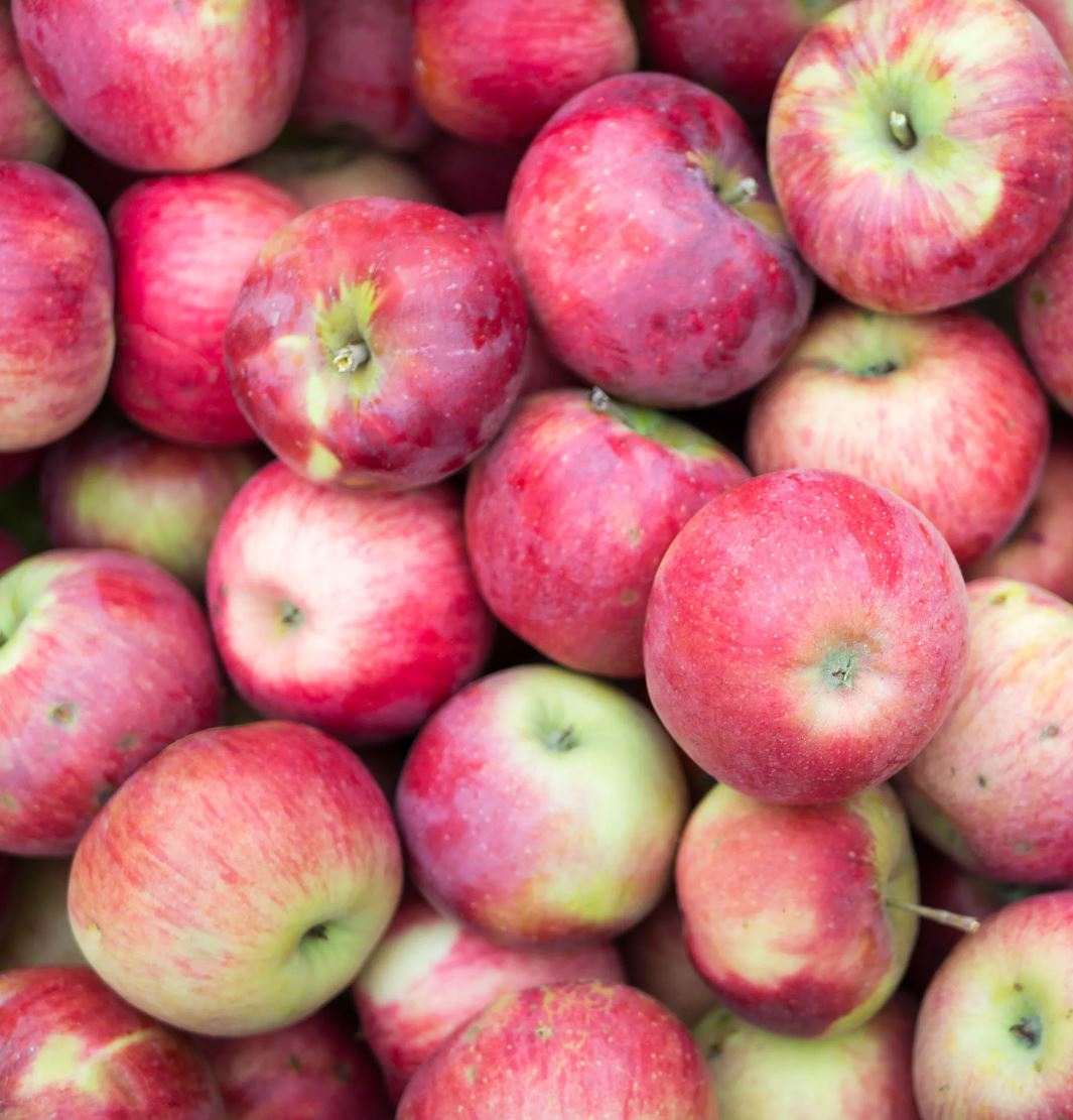 Алма импортын шектей аламыз ба?