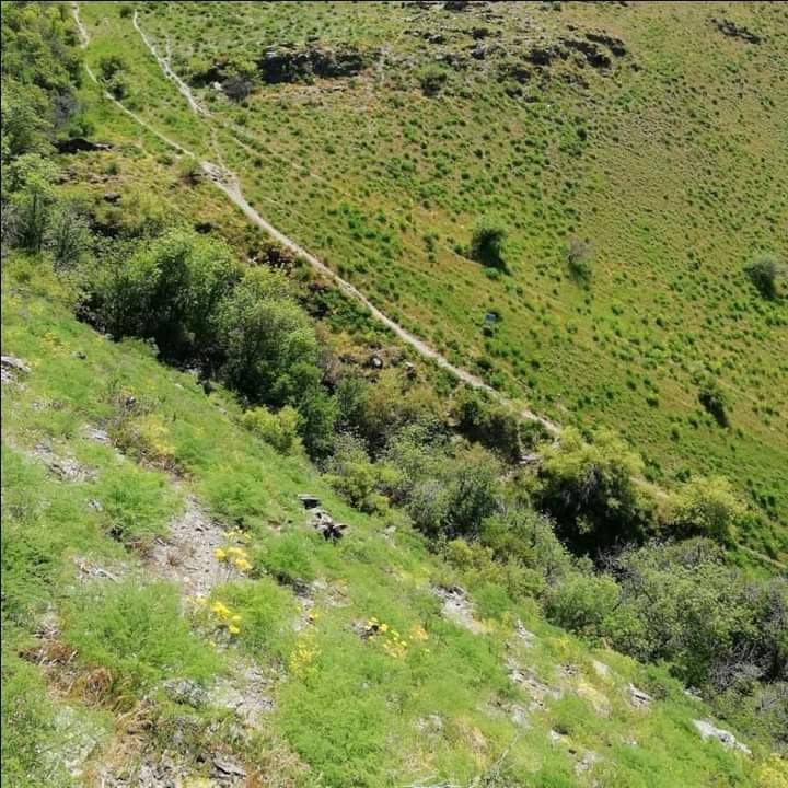 Берікқара шатқалындағы байлық