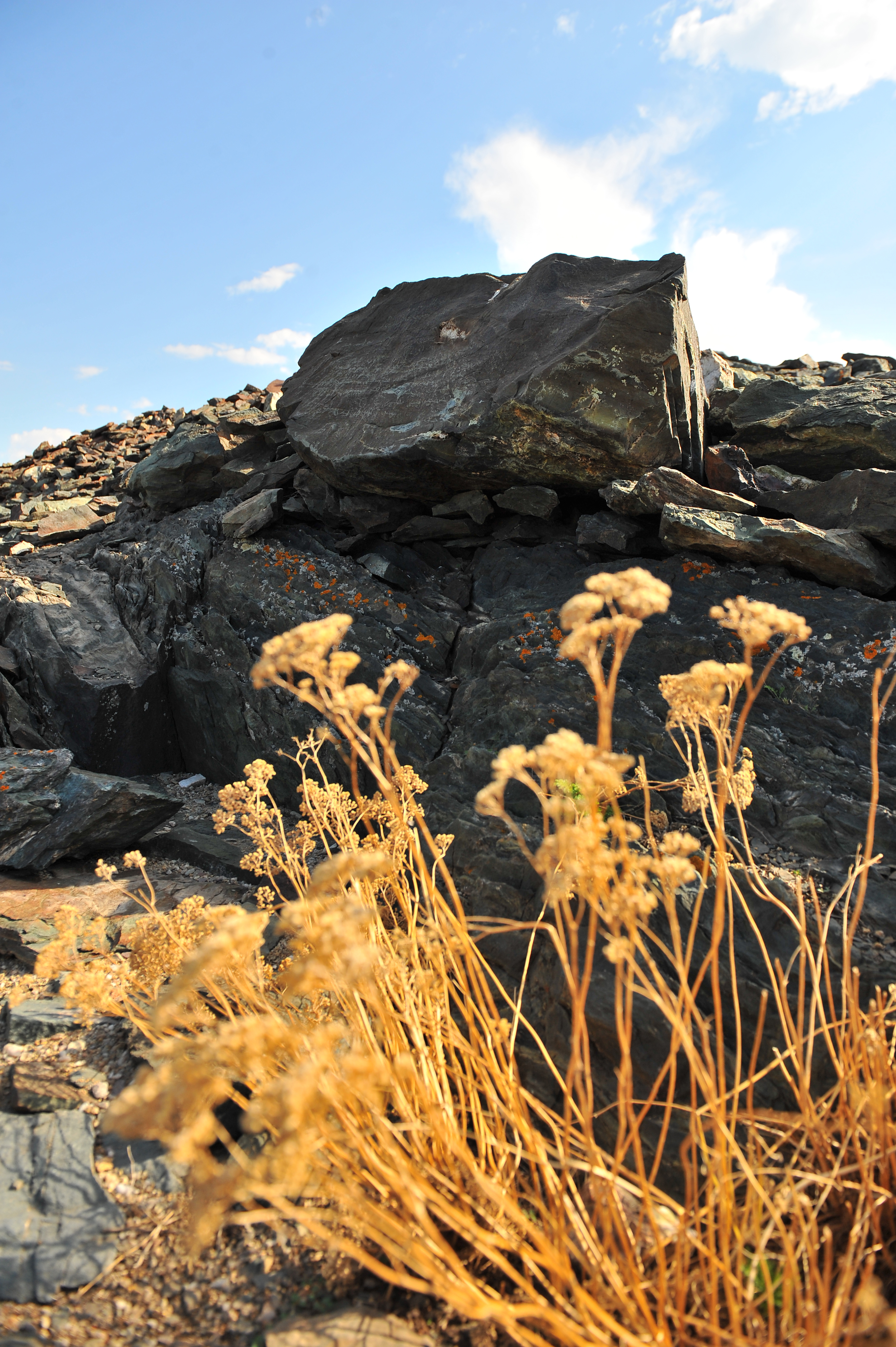 Арқаның арқары да ауып кеткен...