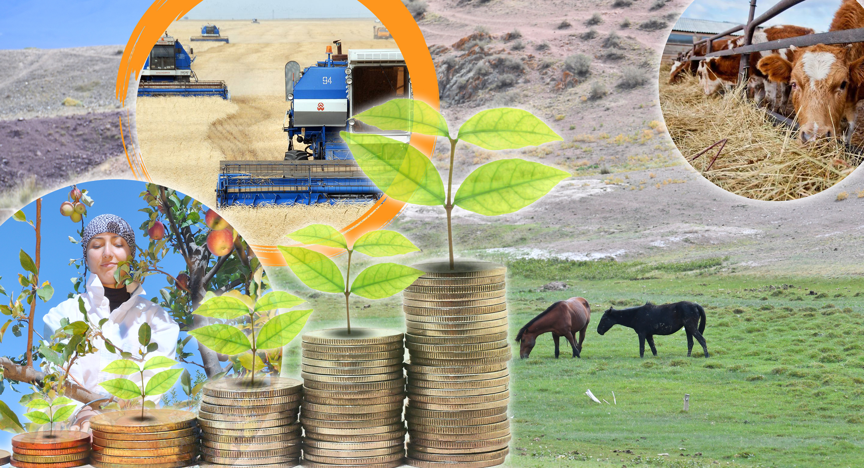 Ауылдың көсегесі көгерсе игі