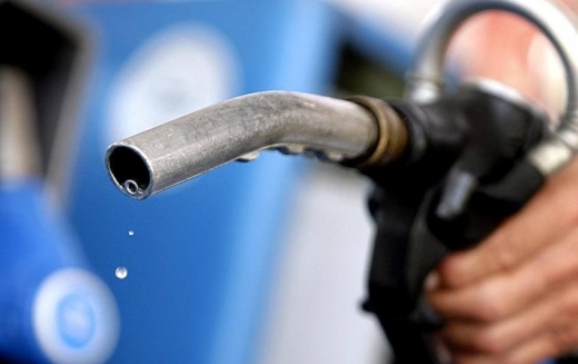 Жанармай қоры жасақталады