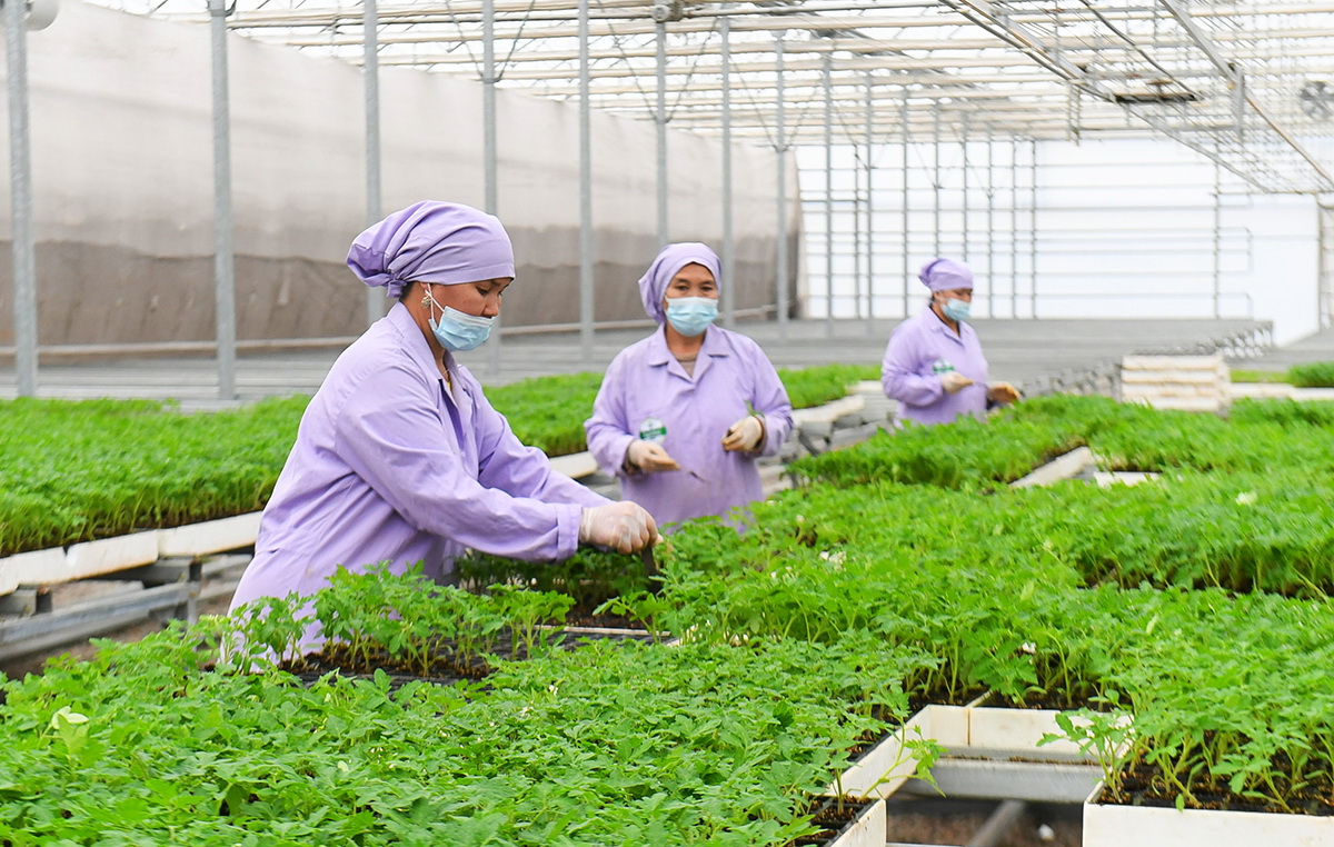 Азық-түлік қауіпсіздігі – басты назарда