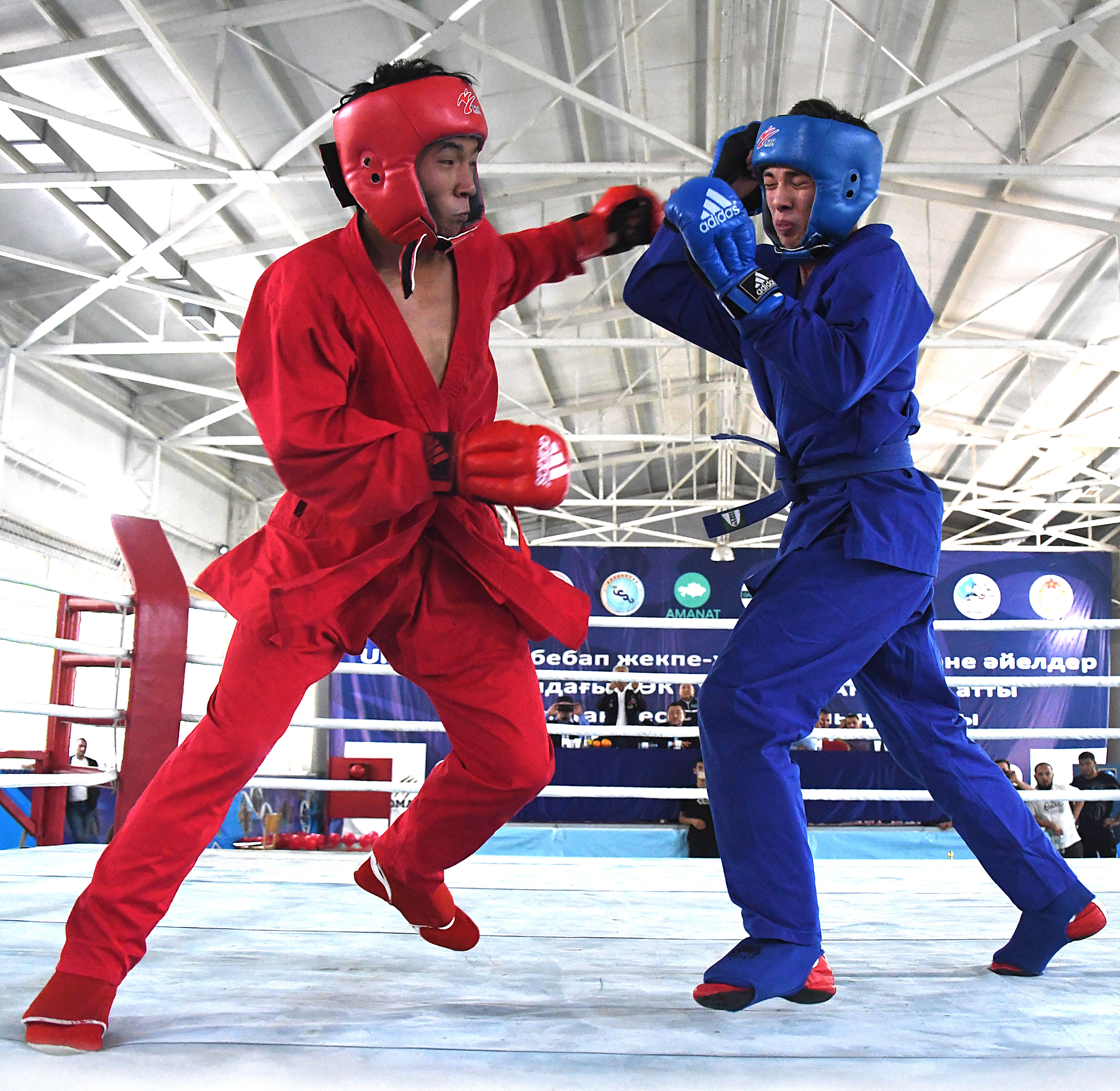 Көк Түрік тарландары