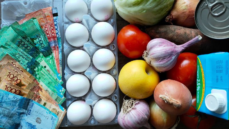 Бағаны тұрақтандырудың жаңа тетіктері әзірленді