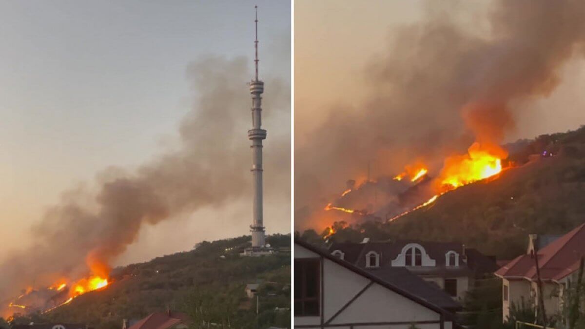 Көктебеде от тұтатқан адам ұсталды