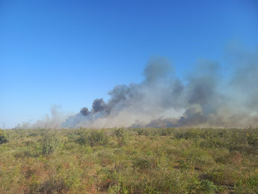 Өртті өршітпей өшірді