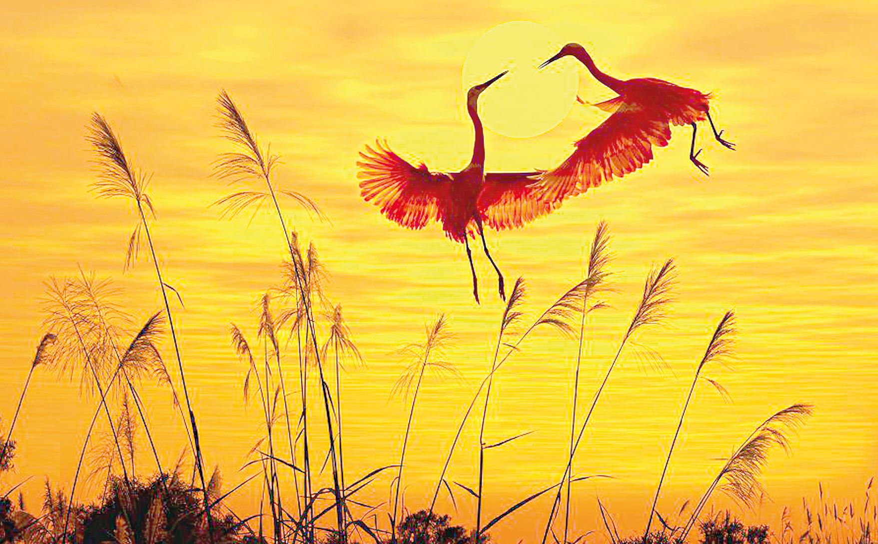 Күзгі романс