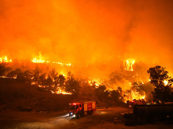 Түркияның оңтүстігінде орман өрті өршіді