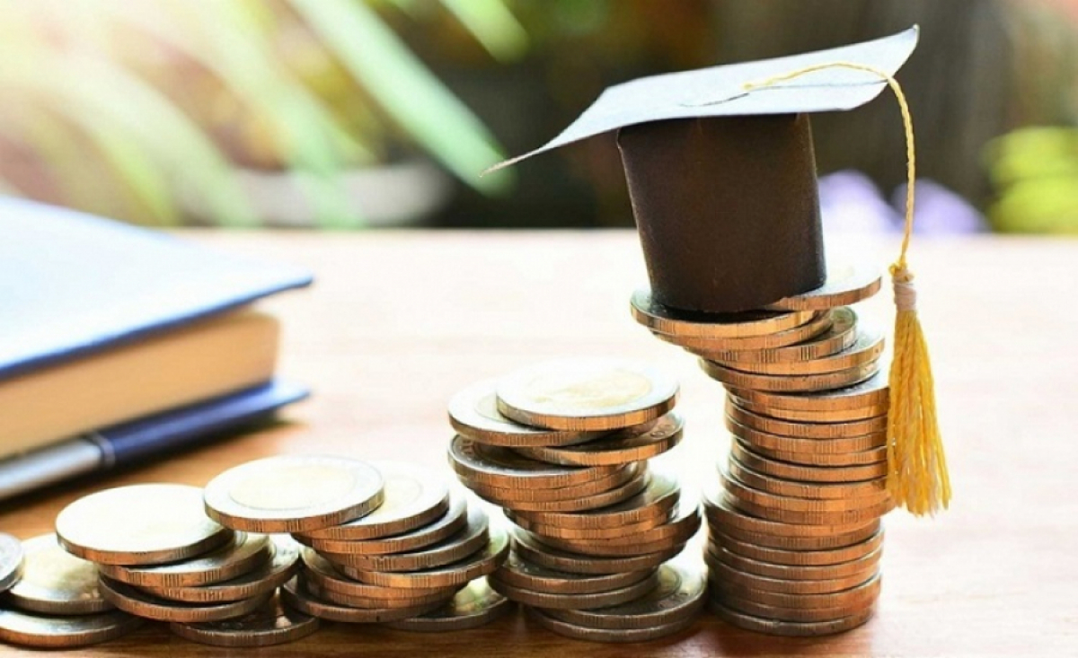 Баянды инвестиция