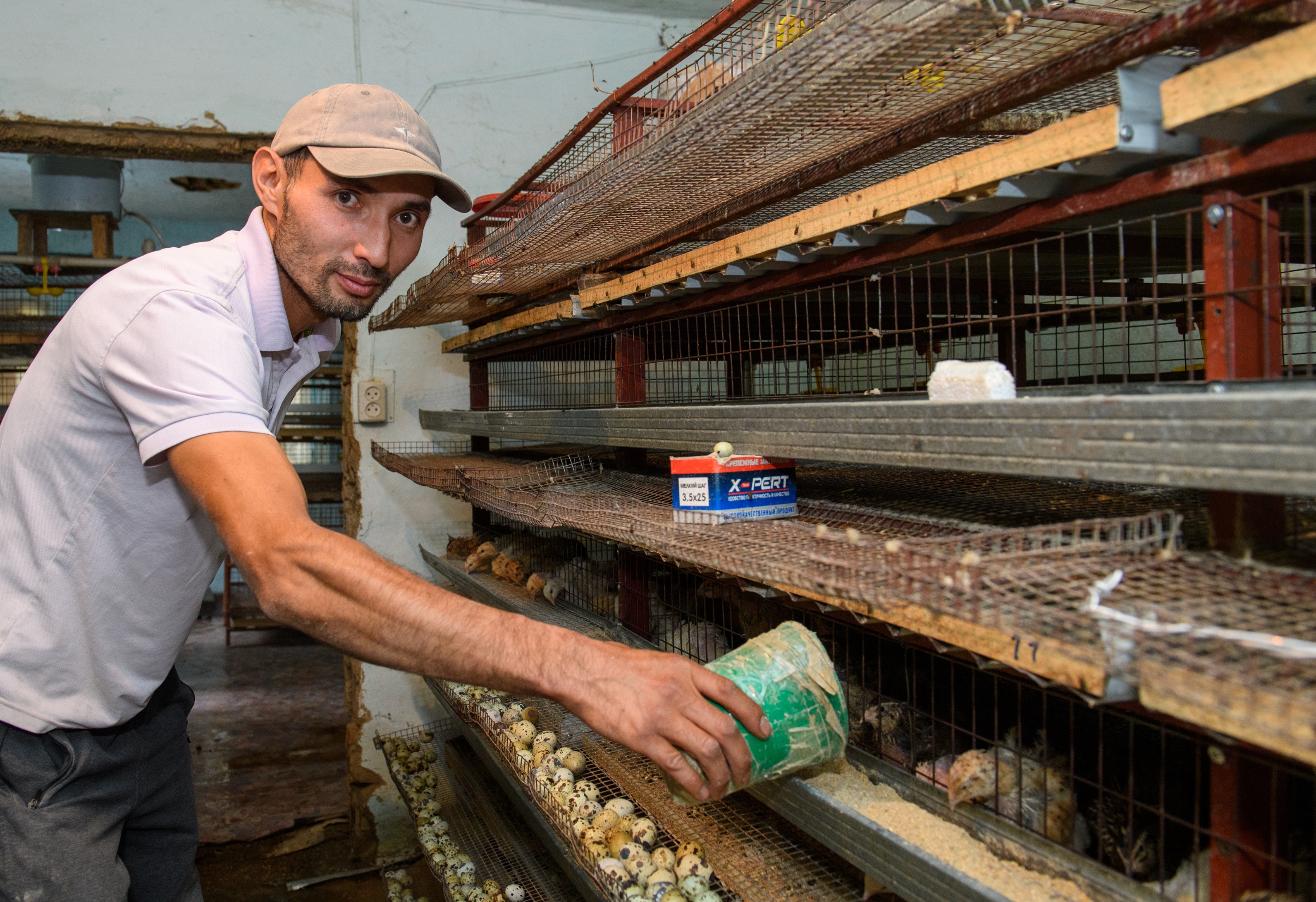 Бөденемен шаруасын дөңгелеткен