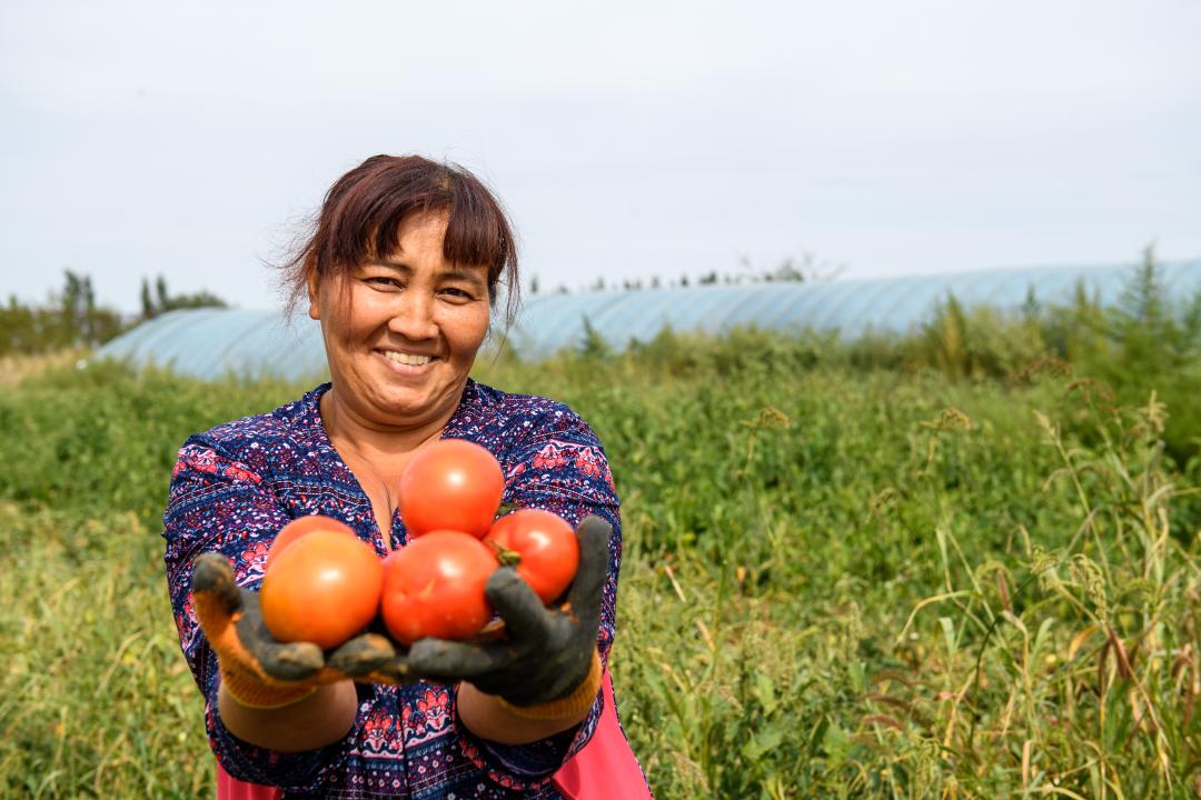 Көкөніспен көркейген кәсіпкер