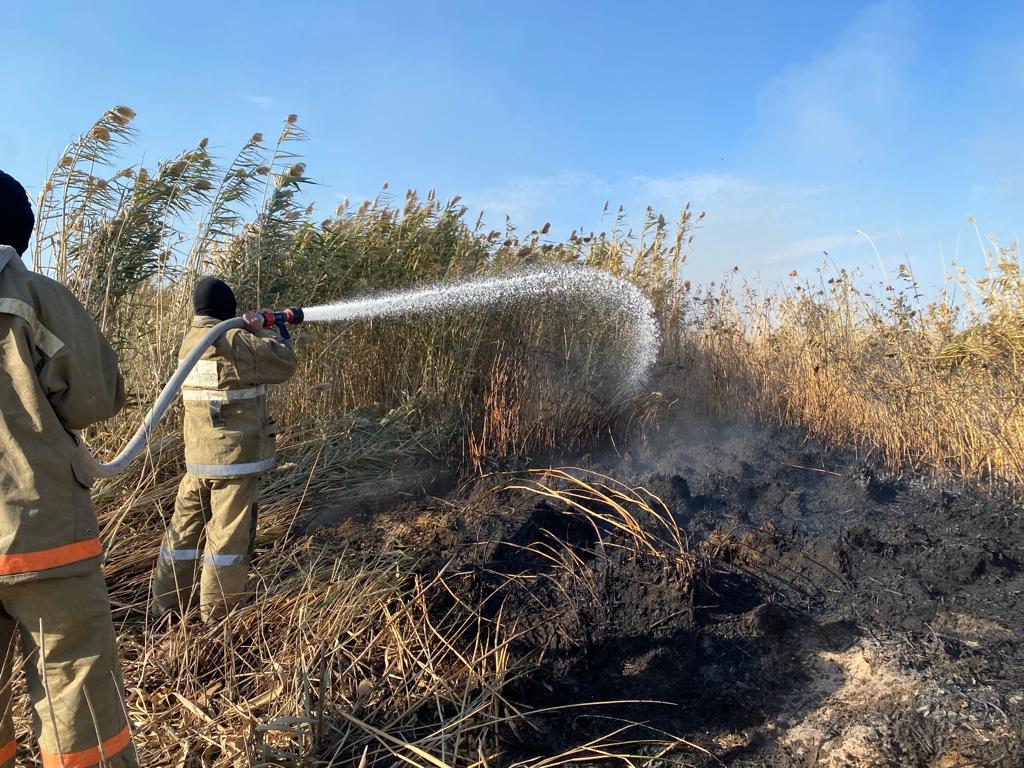 Каспий жағалауындағы қамыс өртіне тікұшақпен 33 мәрте су шашылды