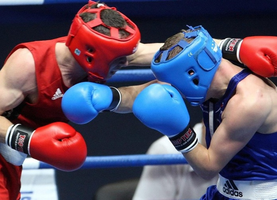 Үш өреніміз рингке шығады