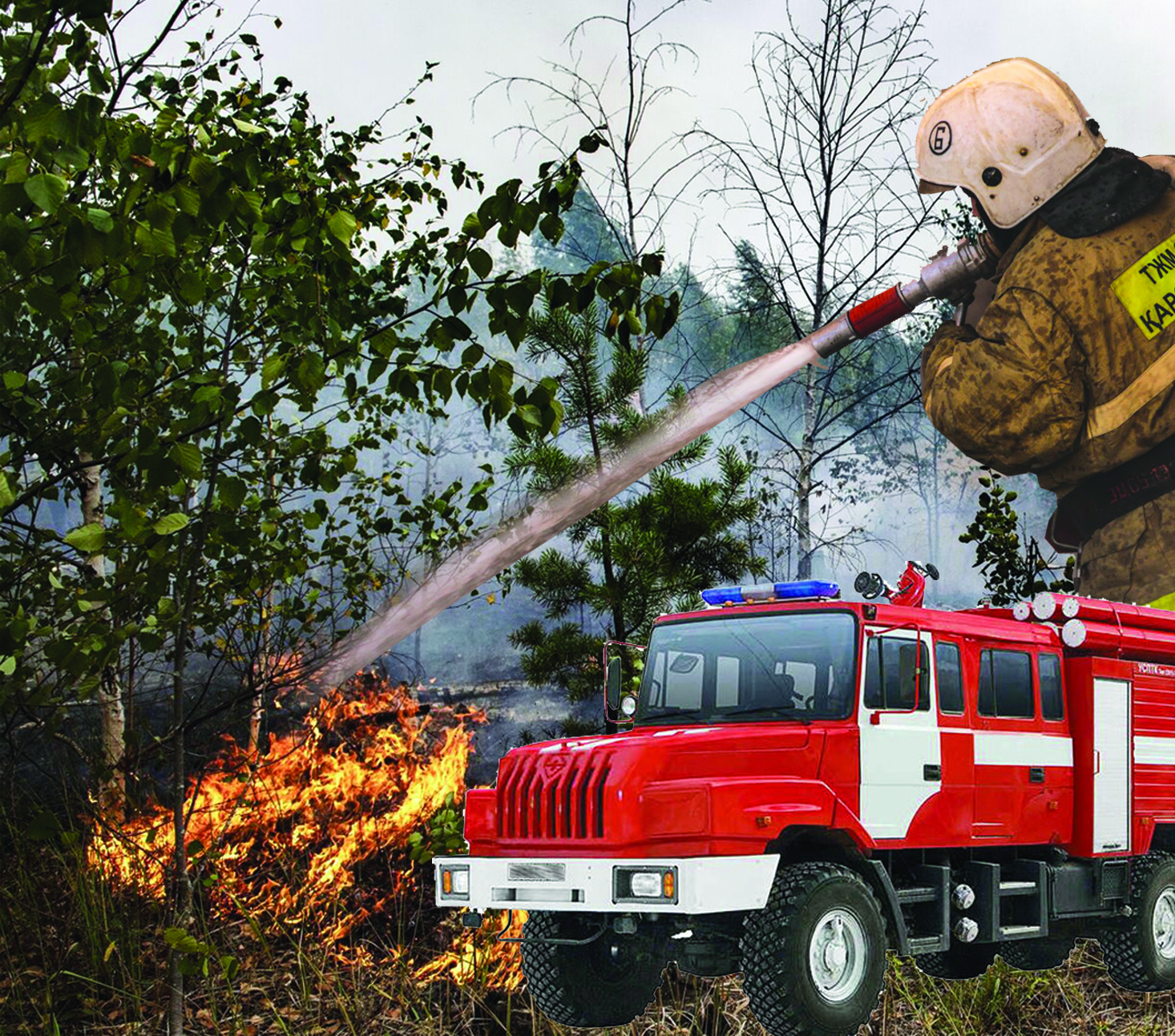 Орманның соры – өрт