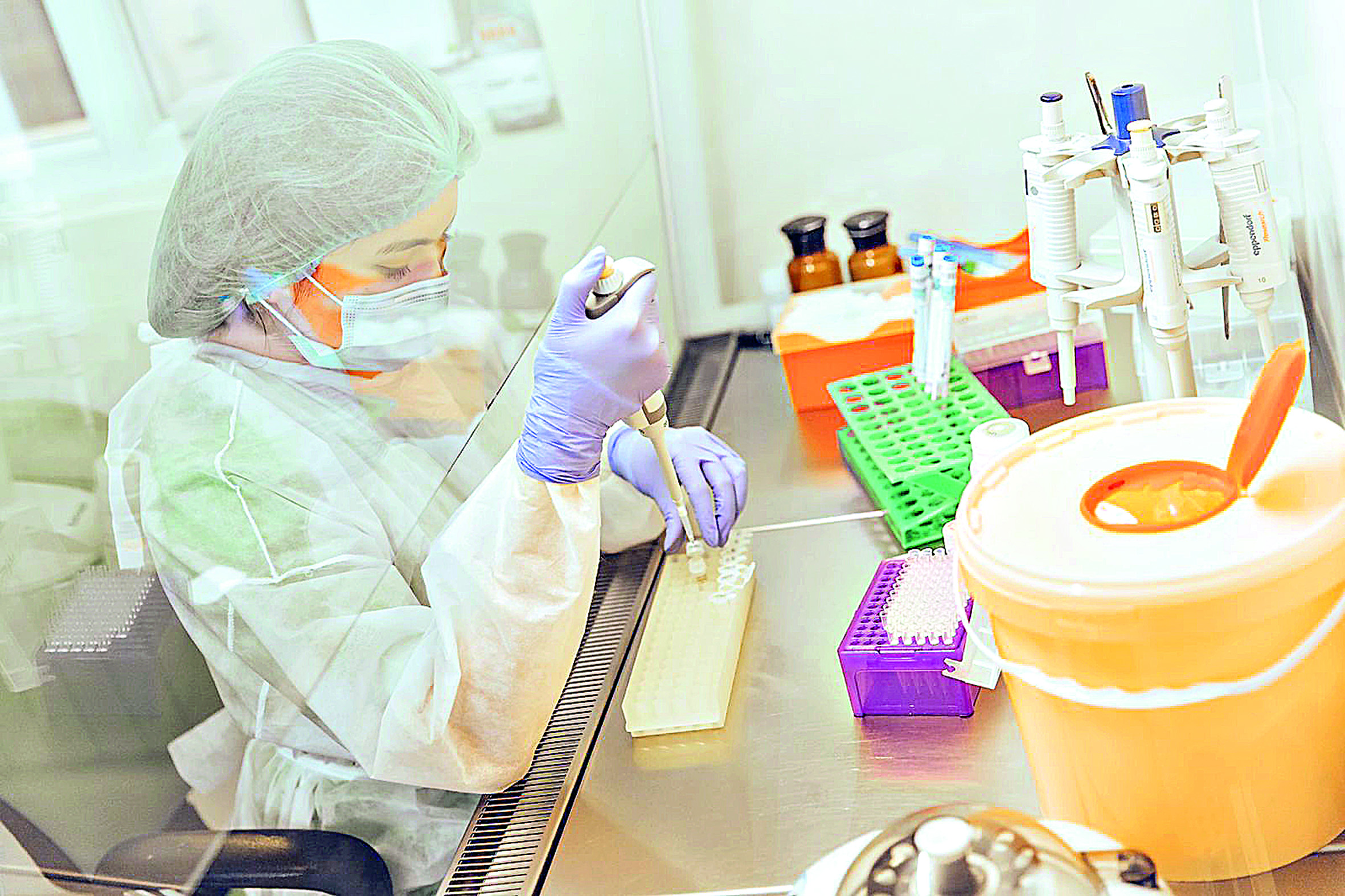 ДНҚ талдауына  неге жүгінеді?