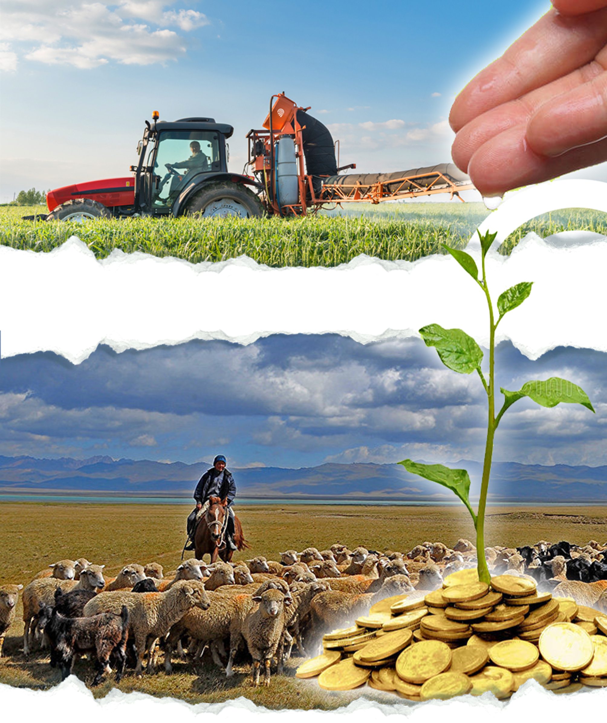 Қарына құрық ілер кісі таппай...