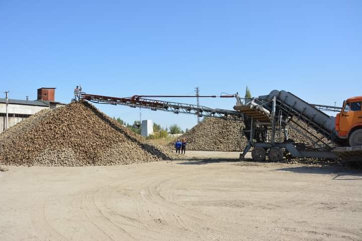 Қызылша алқабы еселенеді