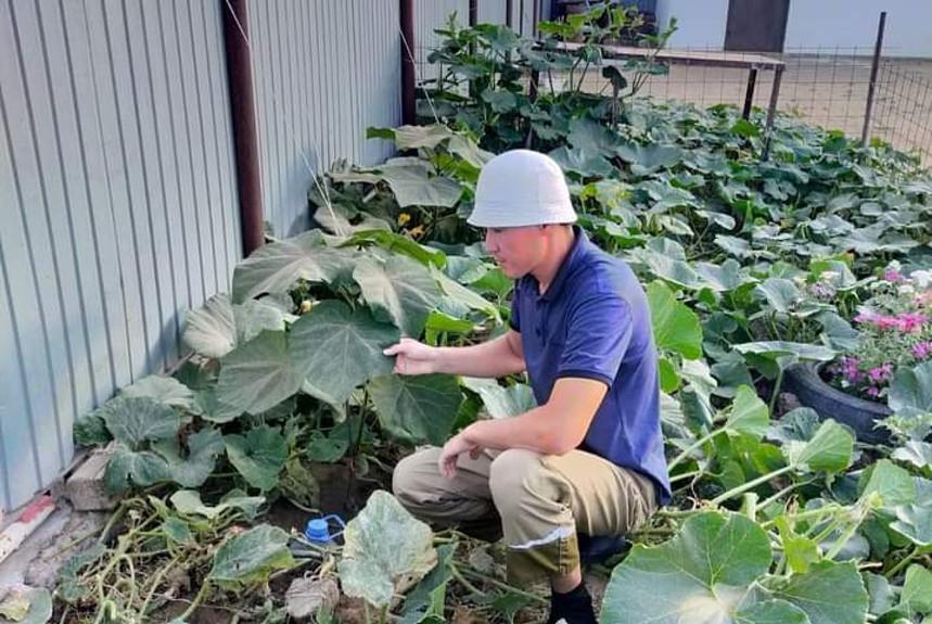 Қызыл құрттың пайдасы