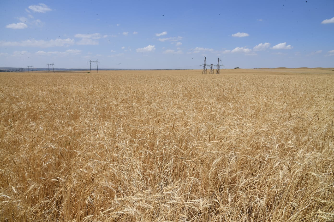 Жерге қолы жеткен жұрт...