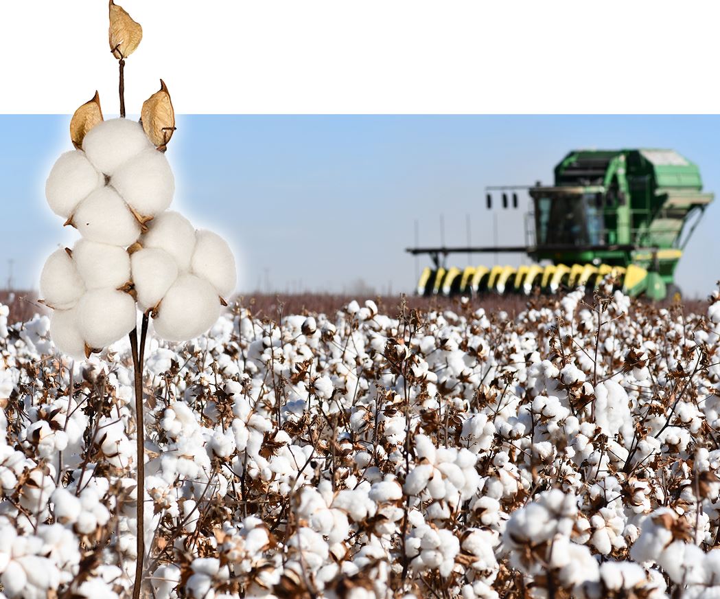 Тоқыма өнеркәсібі тоқыраудан қашан шығады?