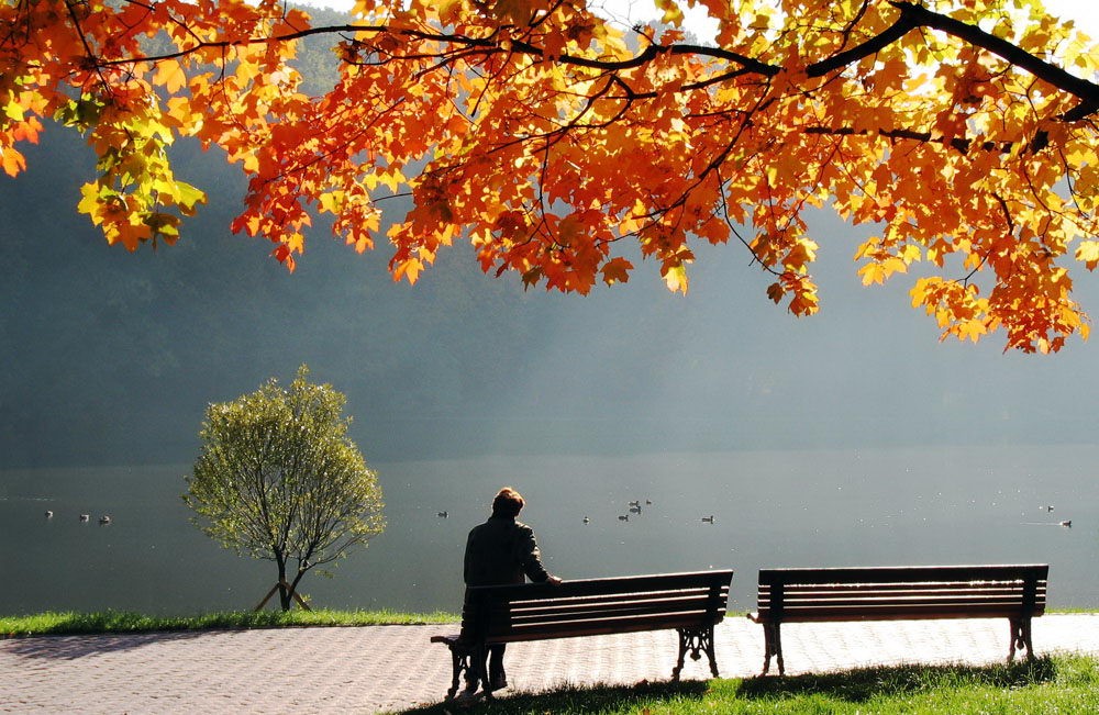 «Қалғып кетпе, қазақы қағанатым!»