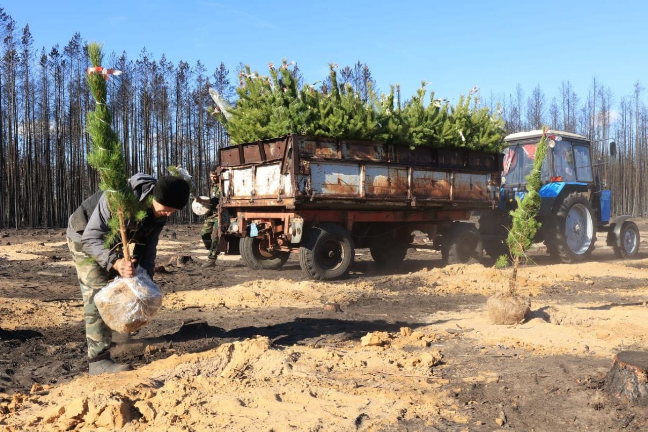 Өртеңнен – ағаш алқабына