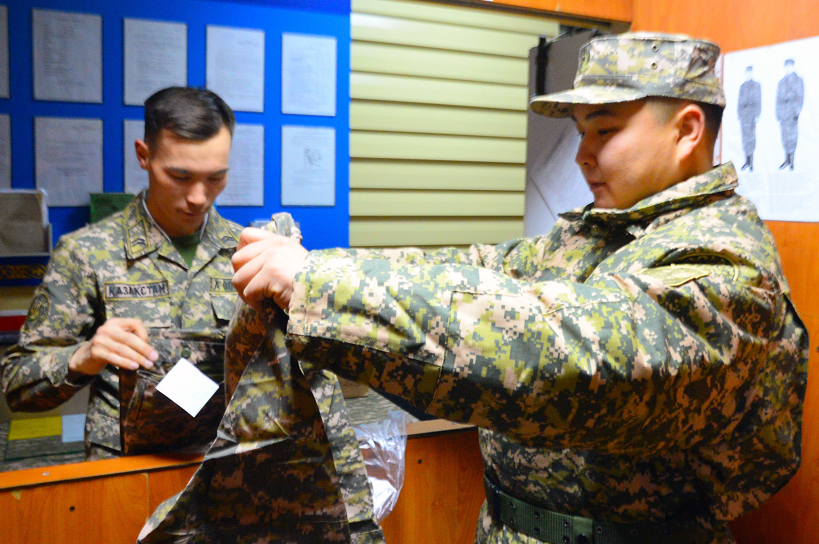 Бірлігі бекем бөлім