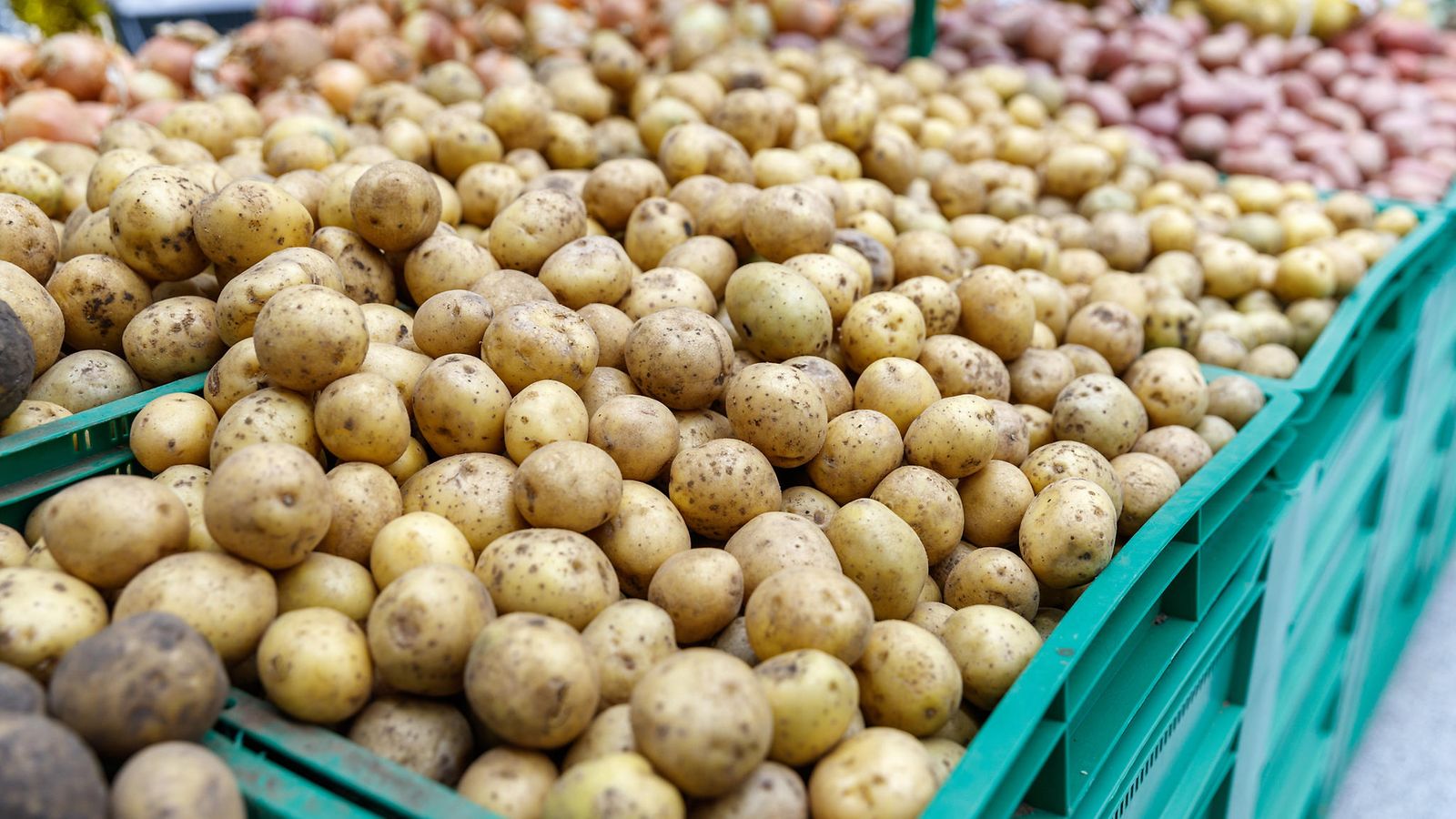 Кереку картобына сұраныс жоғары