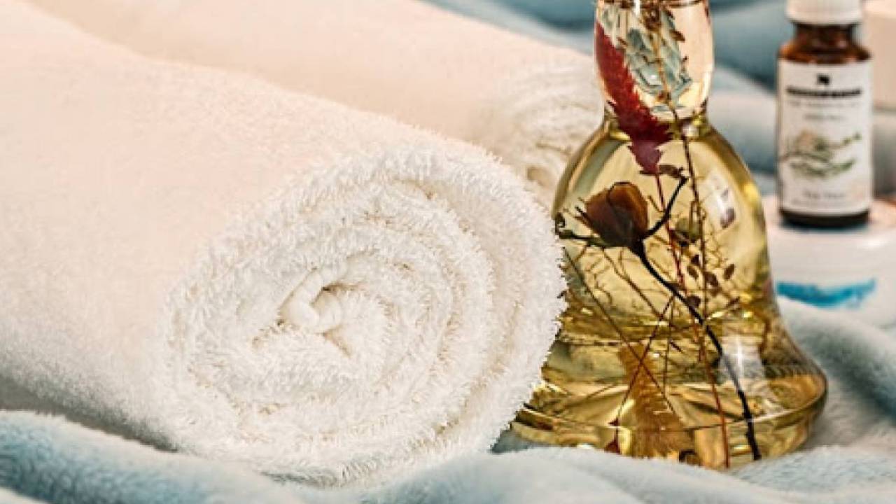 Шипажайға тегін жолдама