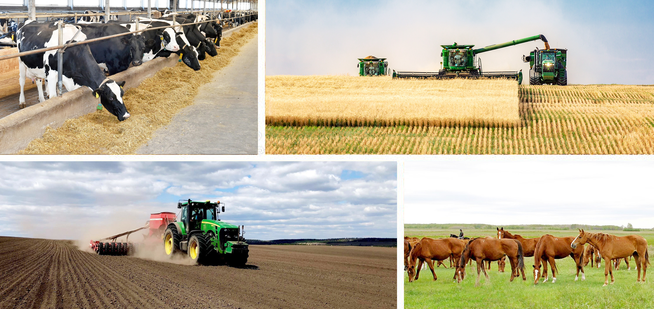 Солтүстік шаруалары бағындырған белес