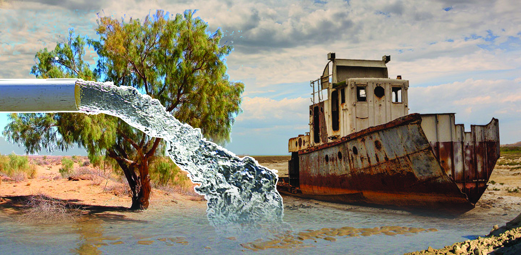 Кіші Аралдың қамы