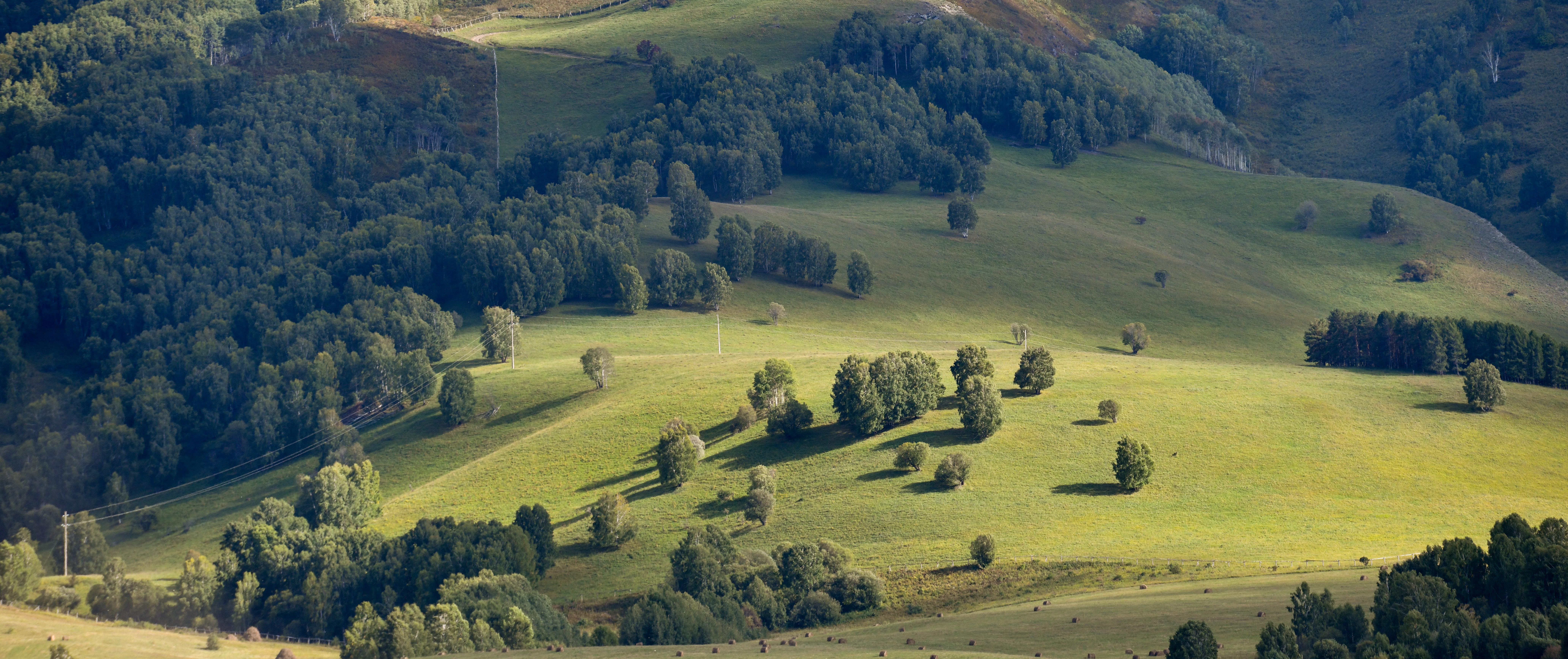 Орманды қорғау Отанды қорғаумен тең