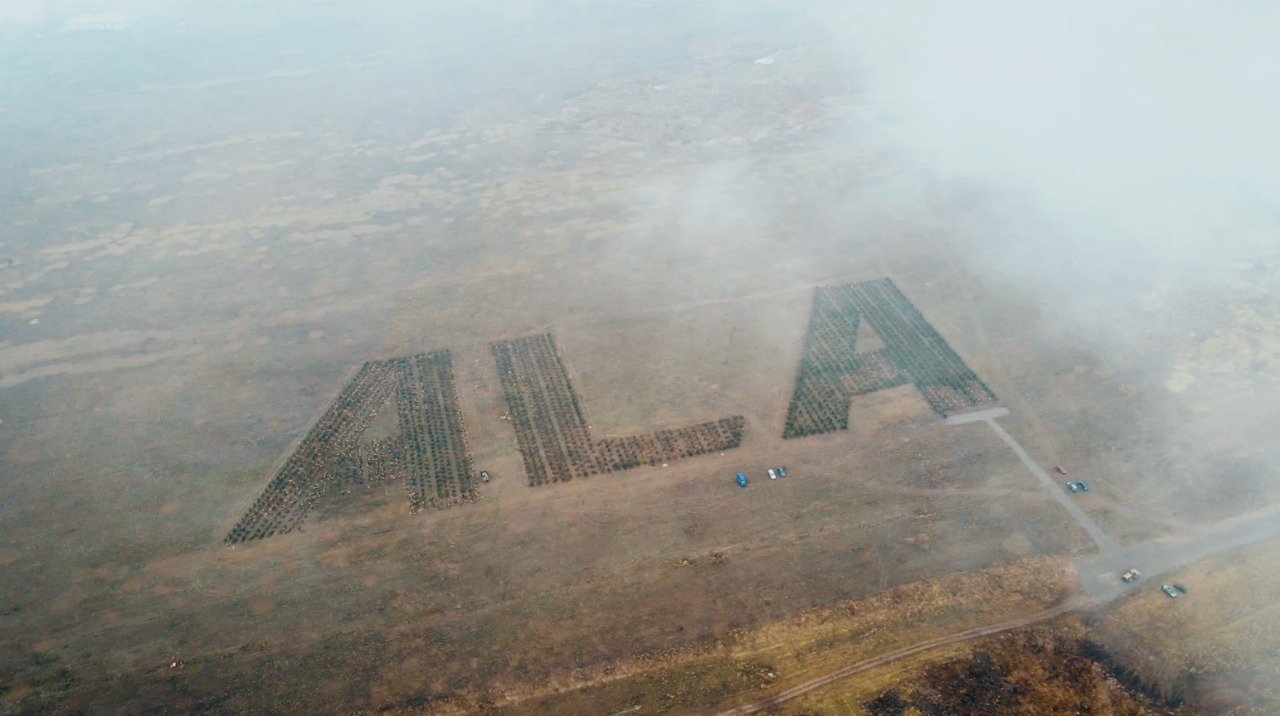 «ALA» бағы Гиннестің рекордтар кітабына ене ме?