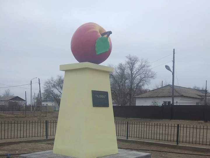 Ауыл ортасында алма