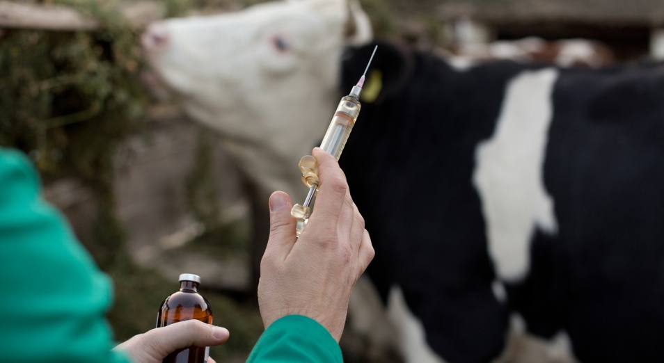 Республикалық кәсіби дода