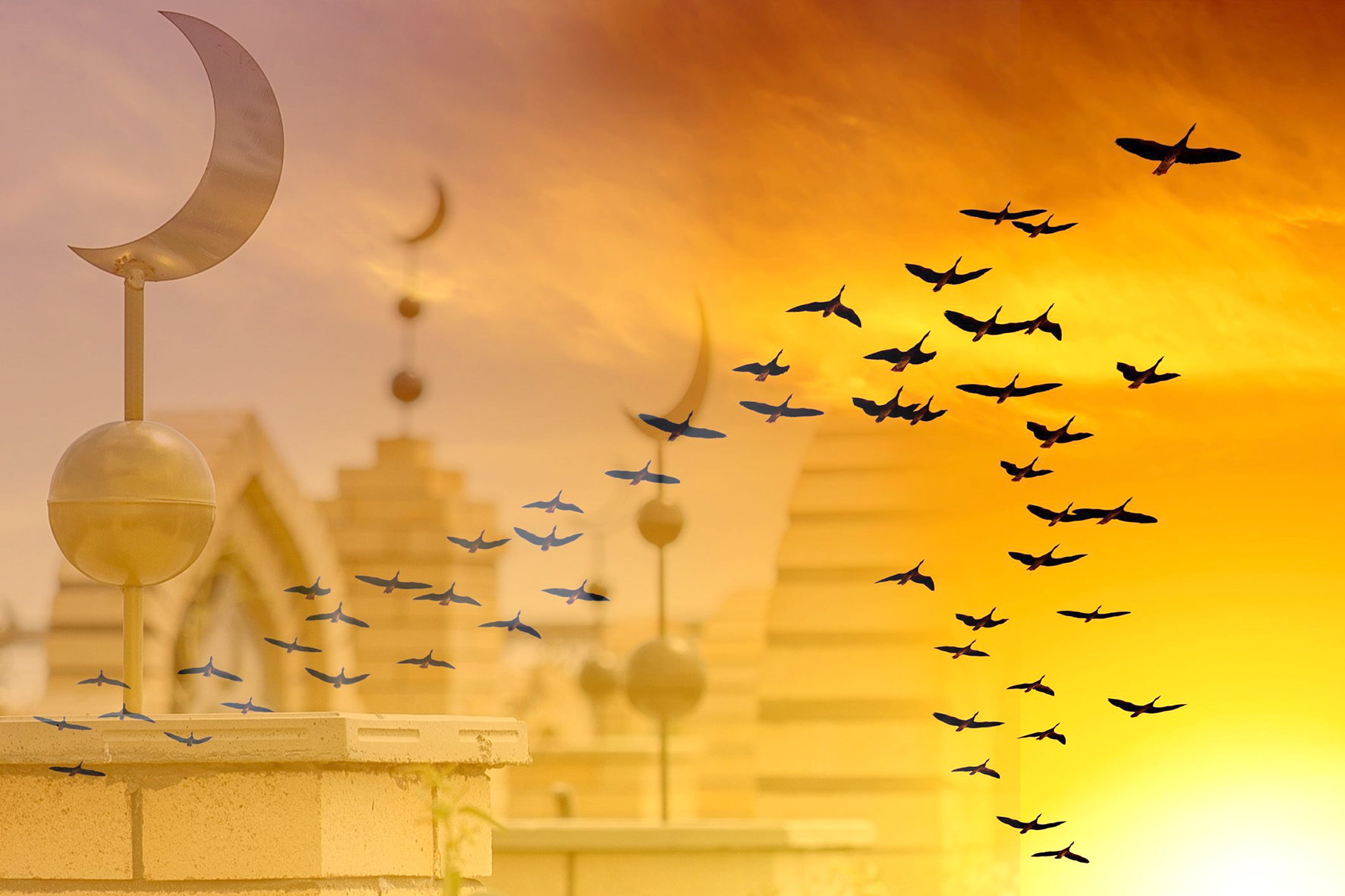 «Көз қырыңды салып қой қорымдарға...»