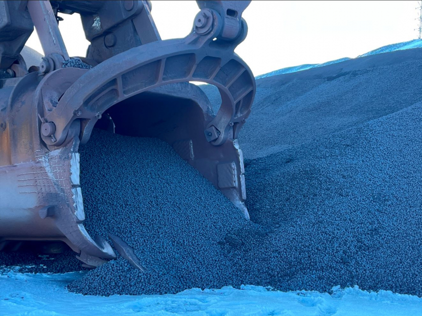 Түйіртастың жаңа түрі