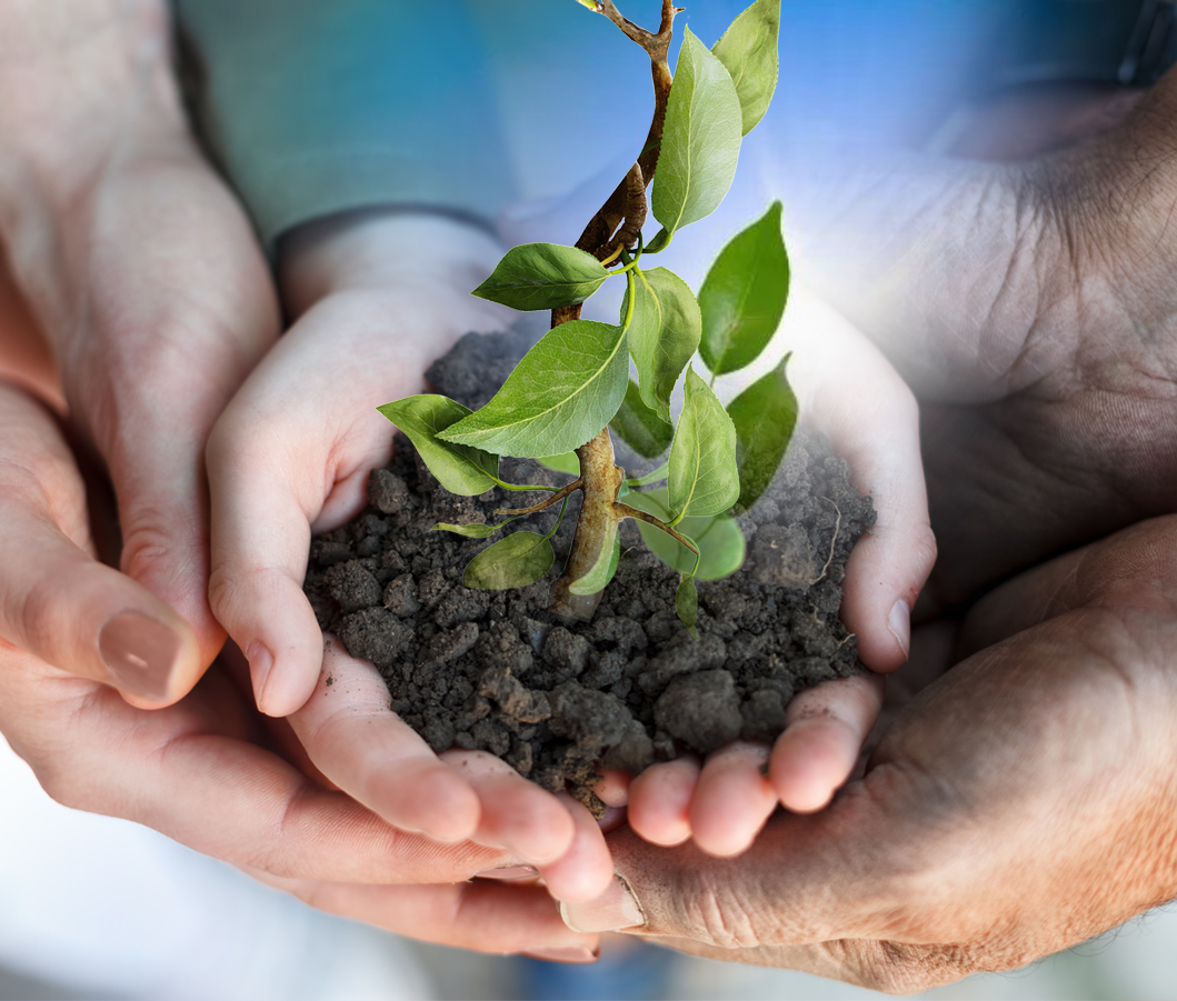 Тәрбиеге жеңіл қарау жараспас