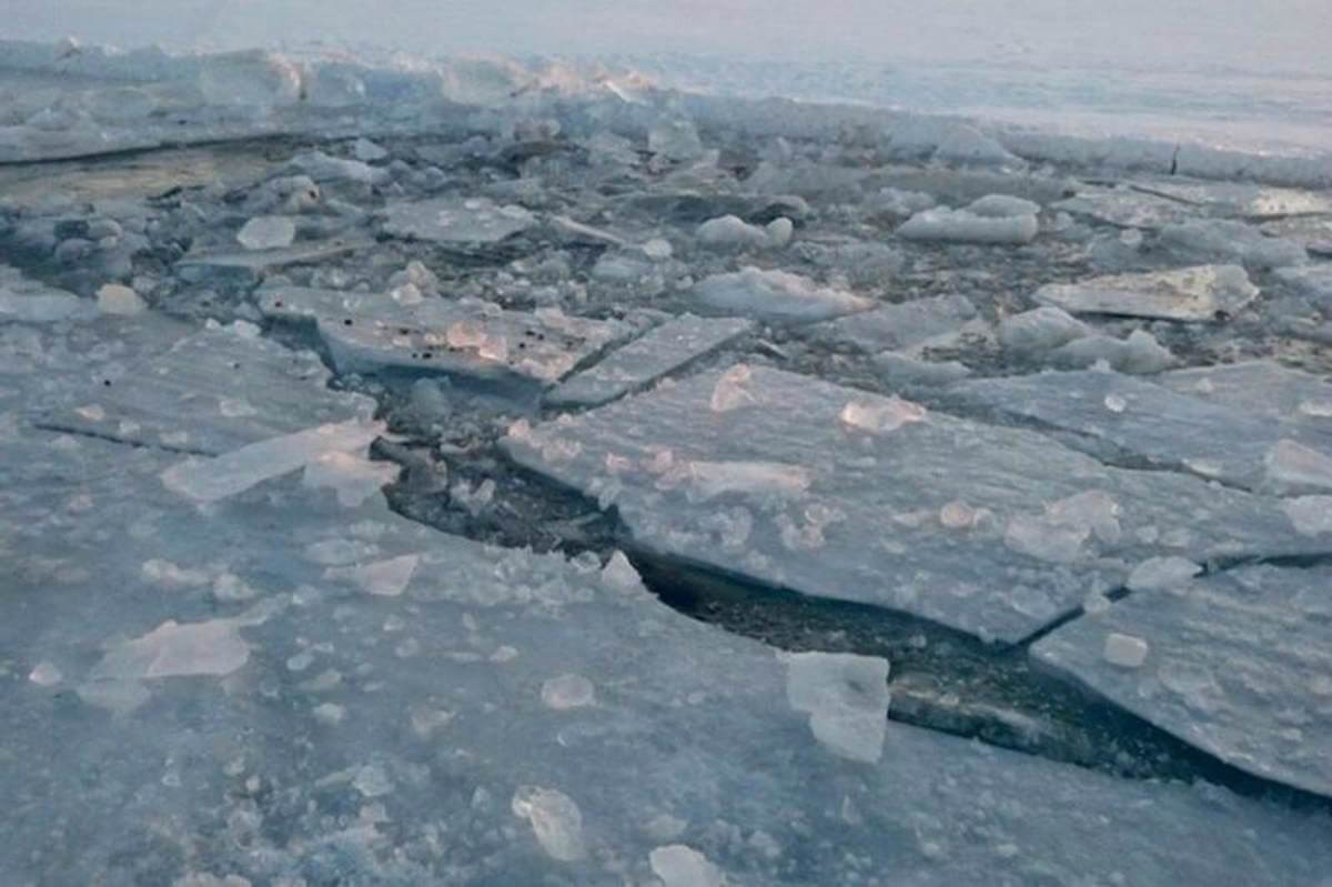 Кішкентай құтқарушы