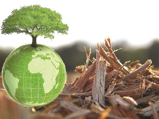 Әлеуметтік нысандар биоотынмен жылытылмақ