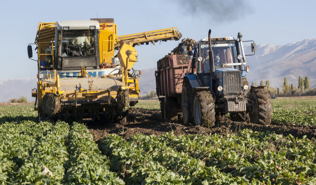 Қызылша алқабы екі есе ұлғаяды