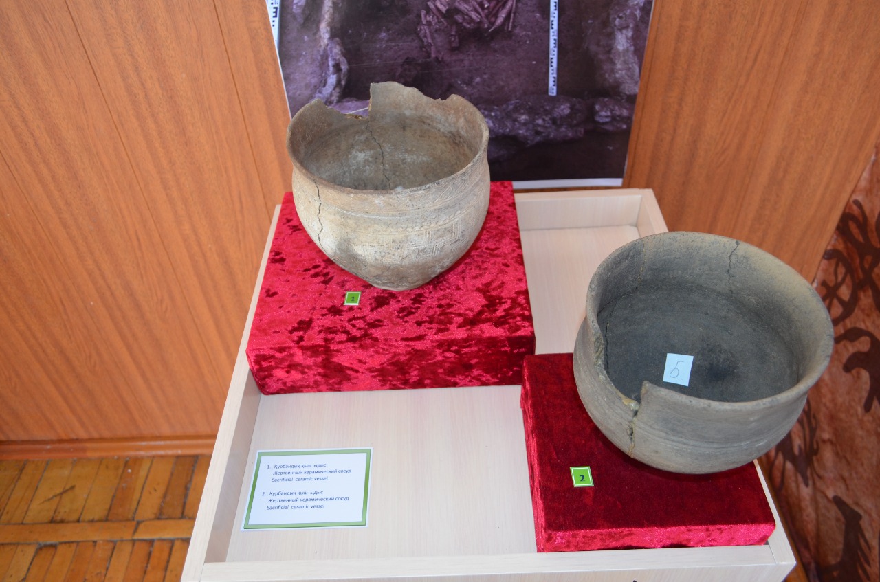 Тарих – тәрбиеші