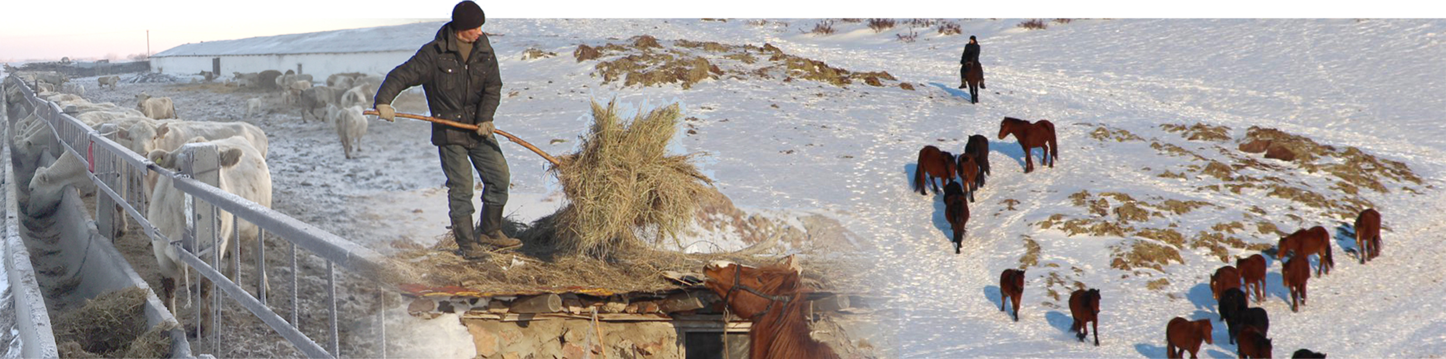 Ауыл атакәсіпсіз көркеймейді