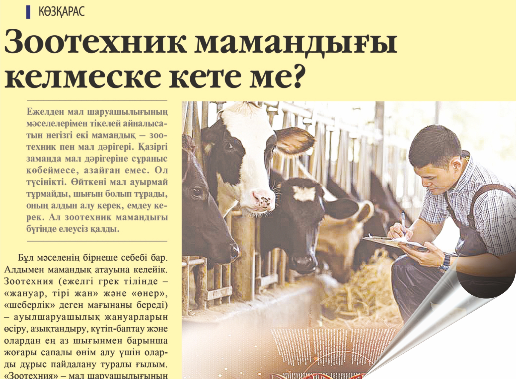 Төрт түлікті кім емдейді?