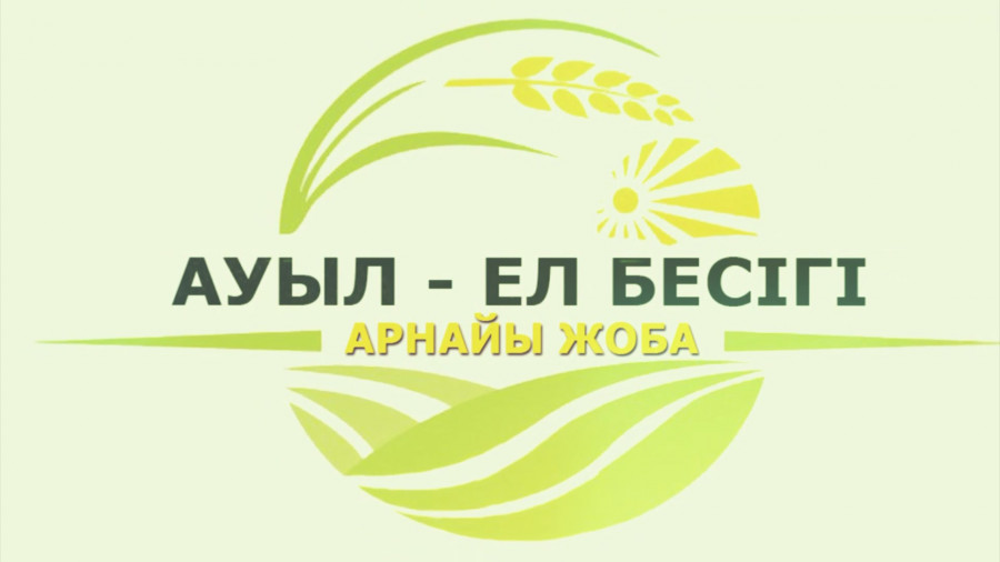 Ауылдағы жастар орталығы
