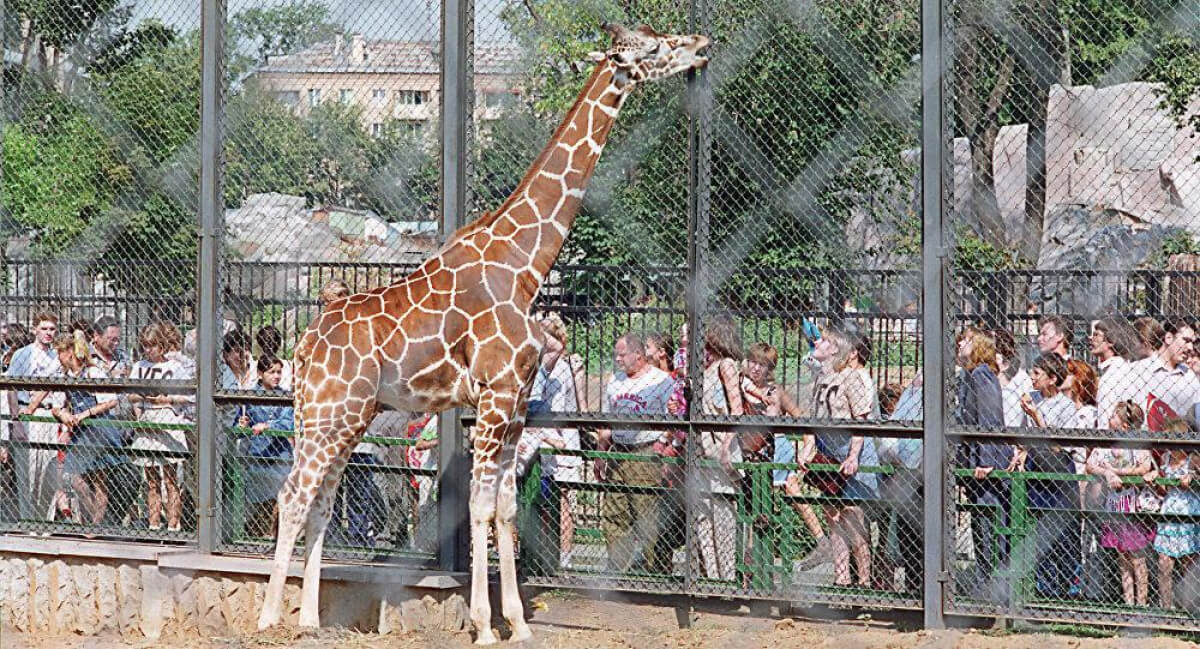Алматы зообағы басқа қалаға көшіріле ме? Әкімдік жауап берді