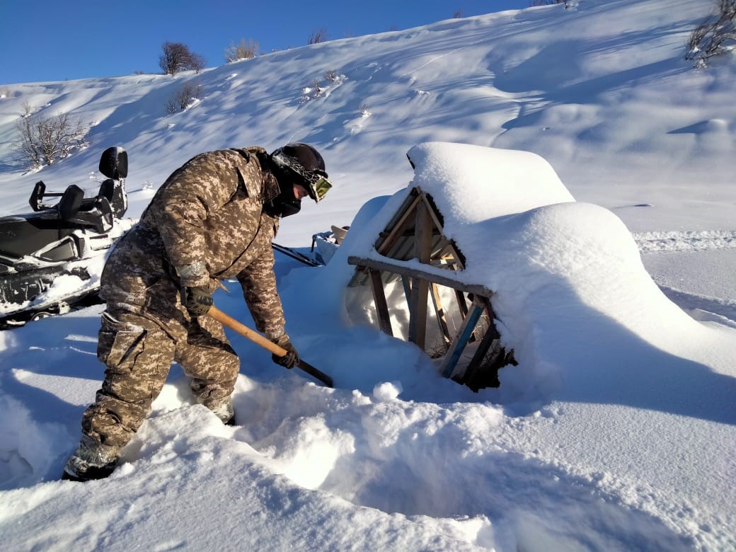 Маралдар осылай жосады екен...