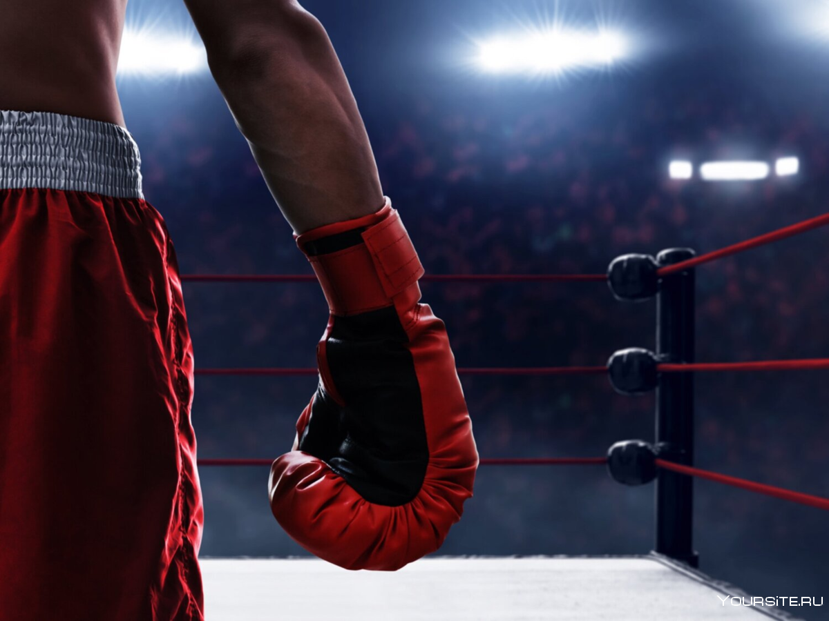 Екі жерлесіміз – үздіктер санатында