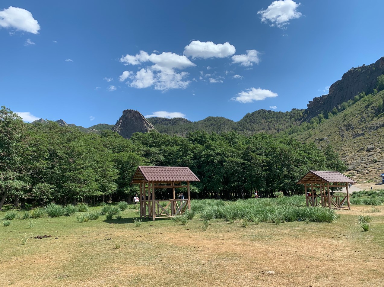 Торайғырдағы қандыағаш тоғайы