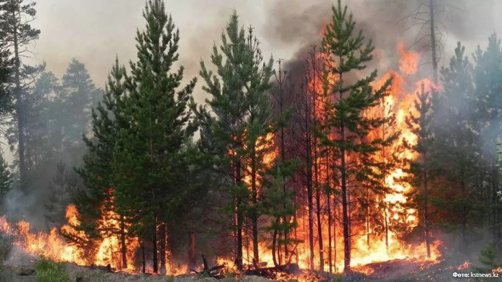 Алапат өрт трактордан тұтанған